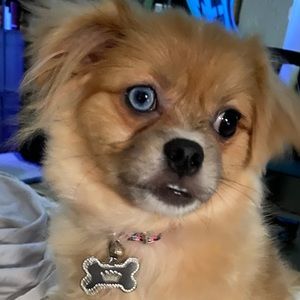 Meet your Posher, Laura marie